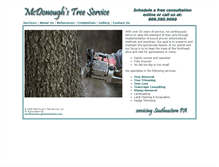 Tablet Screenshot of mcdonoughstreeservice.com